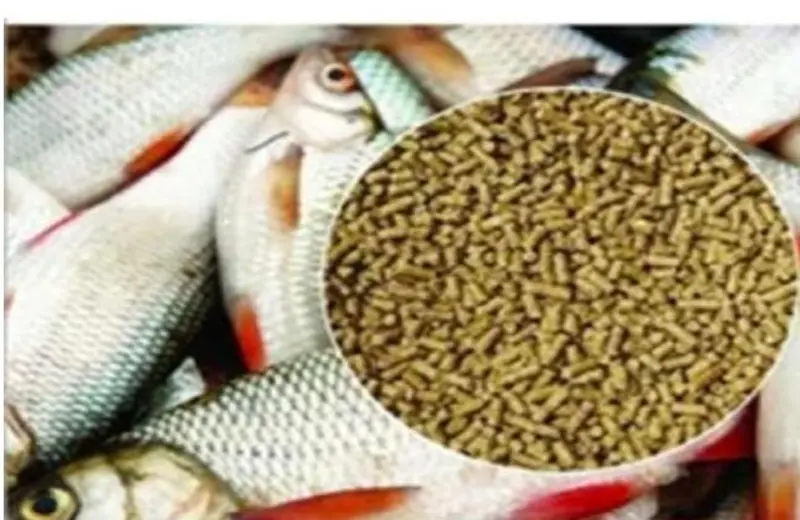 Fish Granules